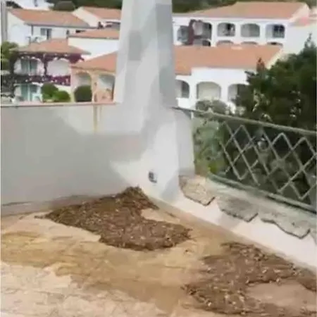 La Casa A Poltu Quatu شقة